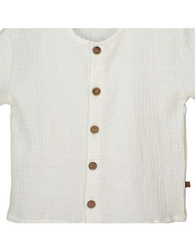 BUY BOYS  SHIRT CALAMARO WHOLESALE