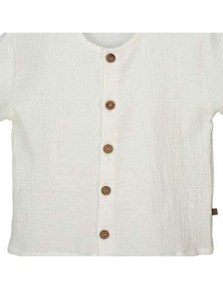 BUY BOYS  SHIRT CALAMARO WHOLESALE