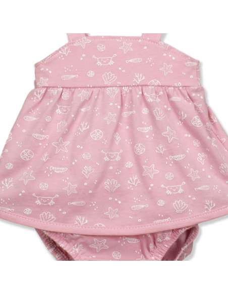 BUY BABIDU WHOLESALE