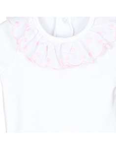 BUY BODY CALAMARO  WHOLESALE 2